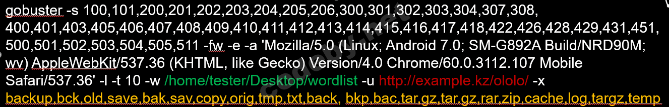 Gobuster результаты: обнаружение backup файлов через directory fuzzing