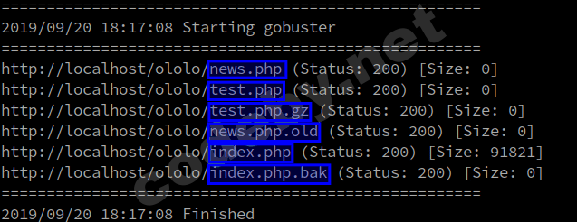 Анализ backup файла найденного фаззингом - раскрытие исходного кода
