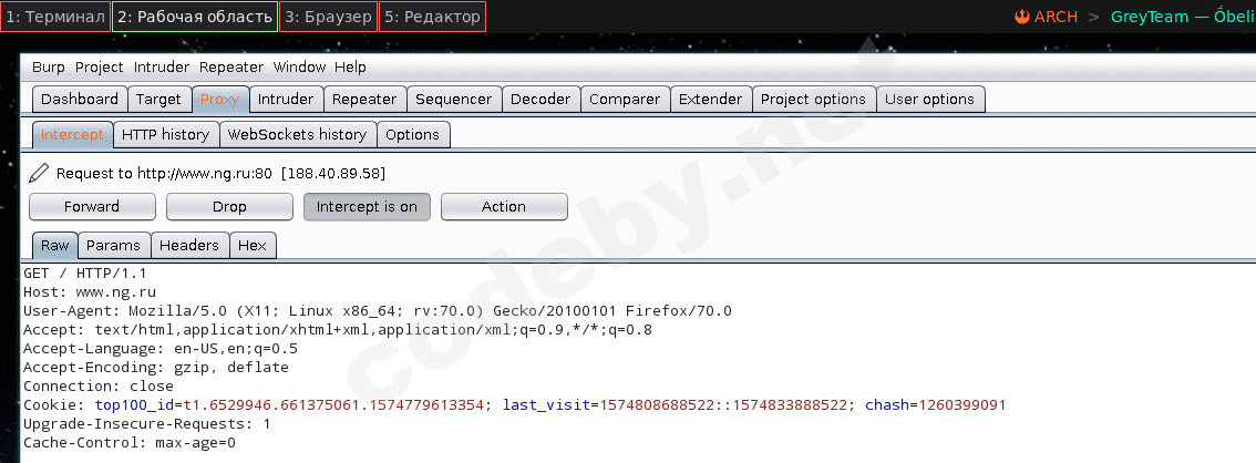 Перехваченный HTTP запрос в Burp Suite Proxy - вкладка Intercept