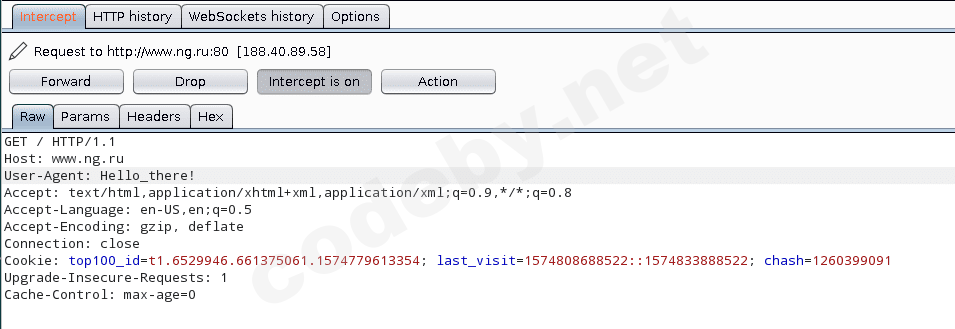 Модификация User-Agent в Burp Suite - изменение HTTP заголовков