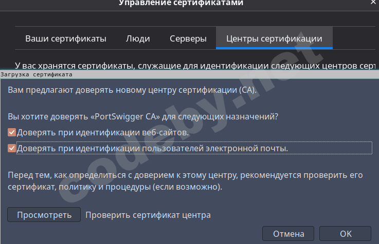 Импорт CA сертификата Burp Suite в Firefox - настройки безопасности