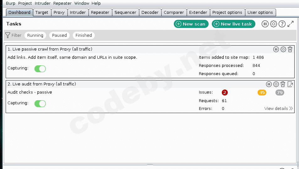 Результаты сканирования Burp Suite - найденные SQL инъекции и XSS уязвимости
