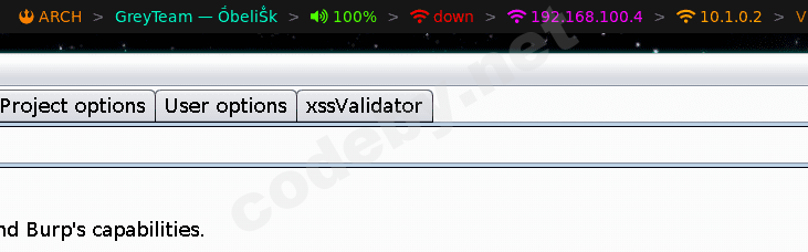 Установленное расширение Burp Suite - новая вкладка в интерфейсе
