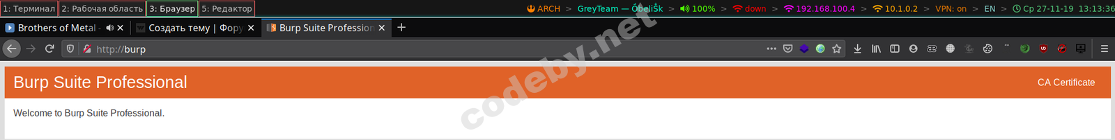 Страница загрузки CA сертификата Burp Suite для HTTPS перехвата