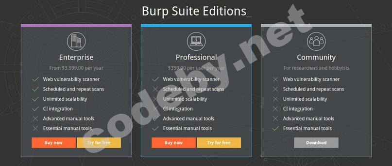 Сравнение версий Burp Suite Community Professional Enterprise - таблица функций