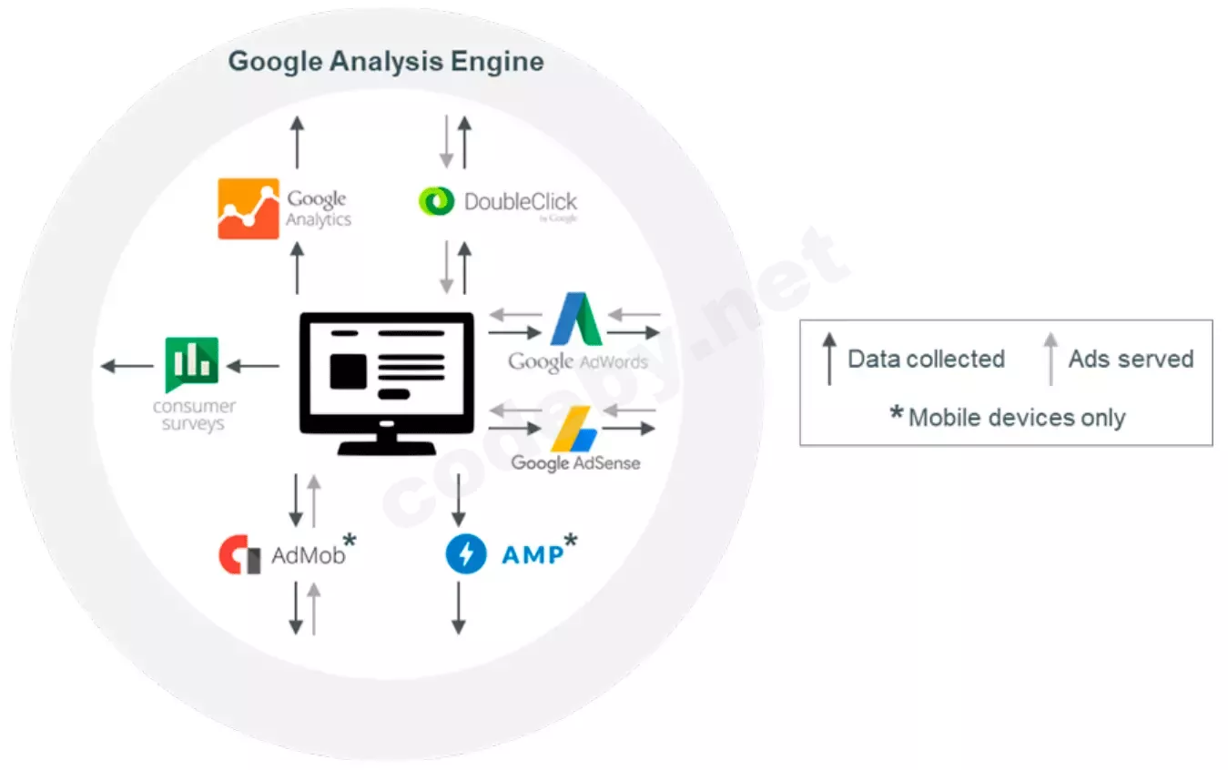 Защита цифрового следа инфографика