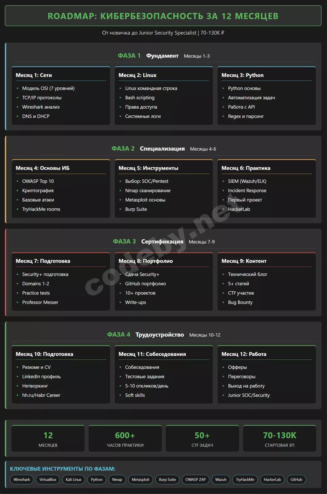 Roadmap обучения кибербезопасности на 12 месяцев 2025