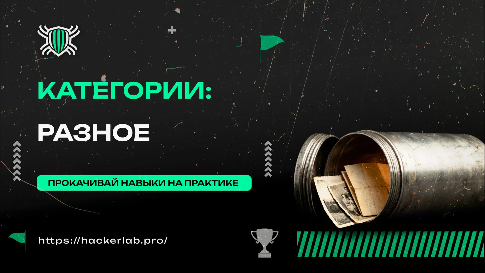 1780133088870.webp