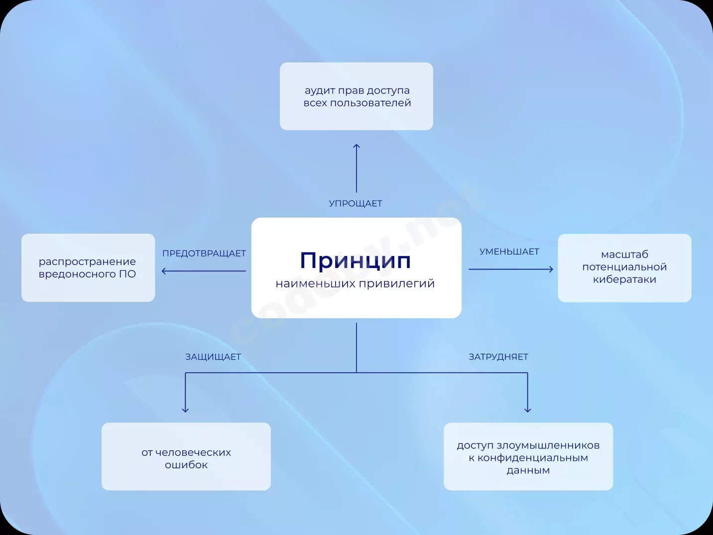 1780991034323.webp