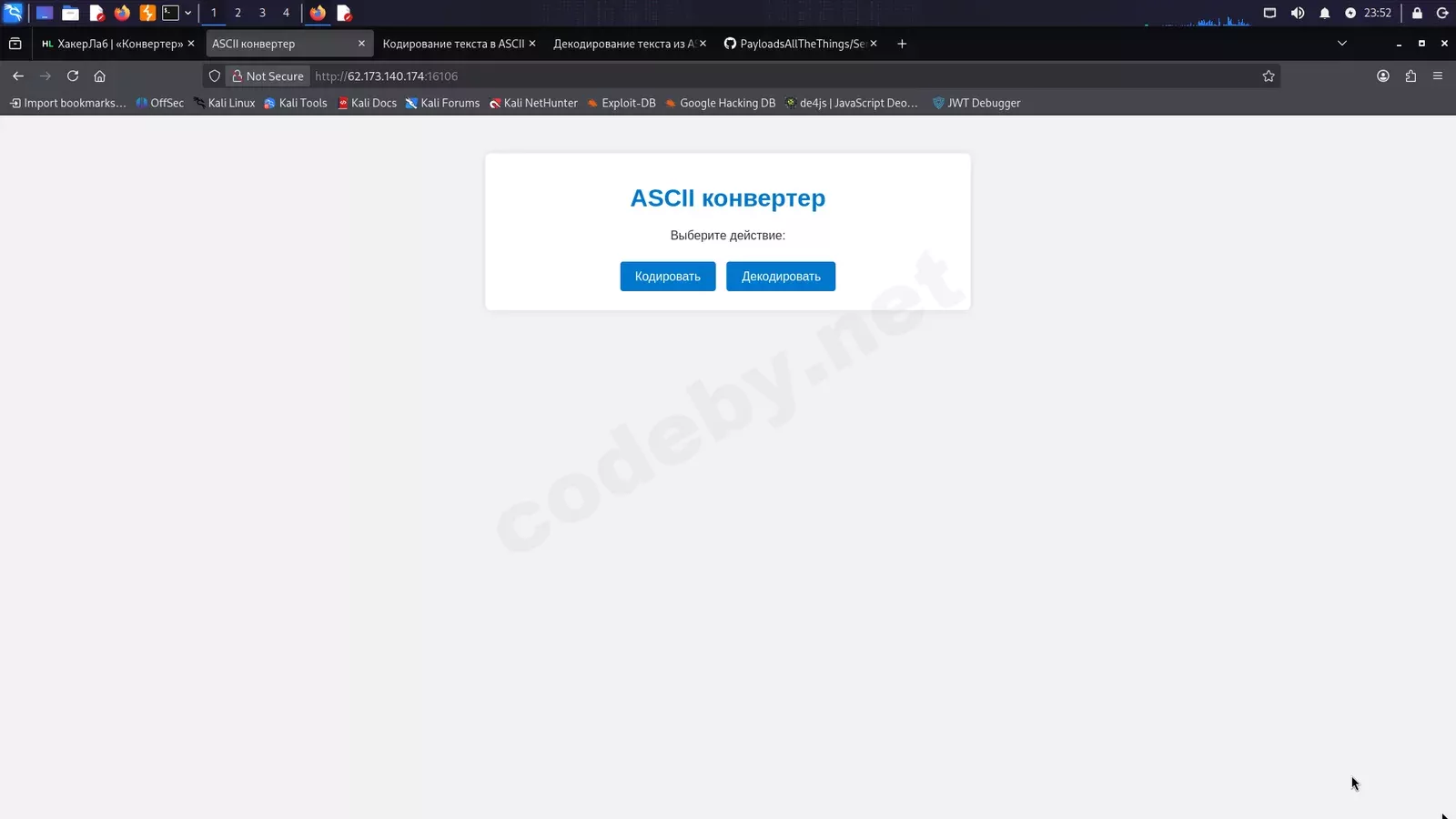 1781283169139.webp