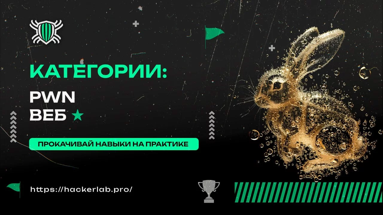 1781368097019.webp