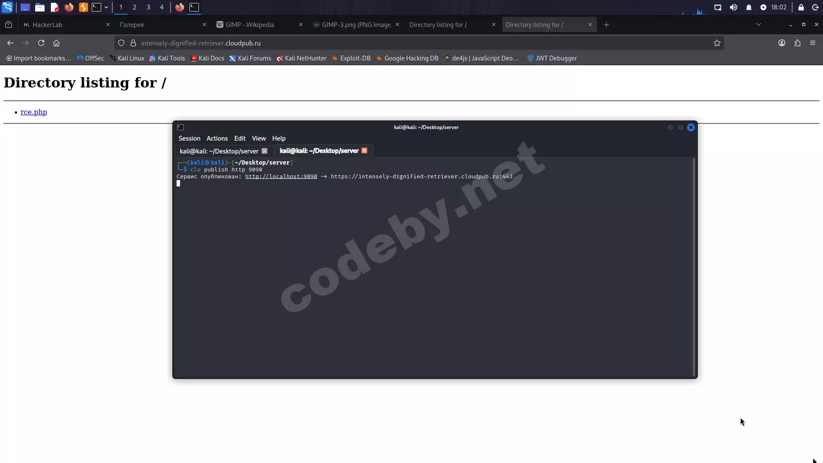 1781780565287.webp