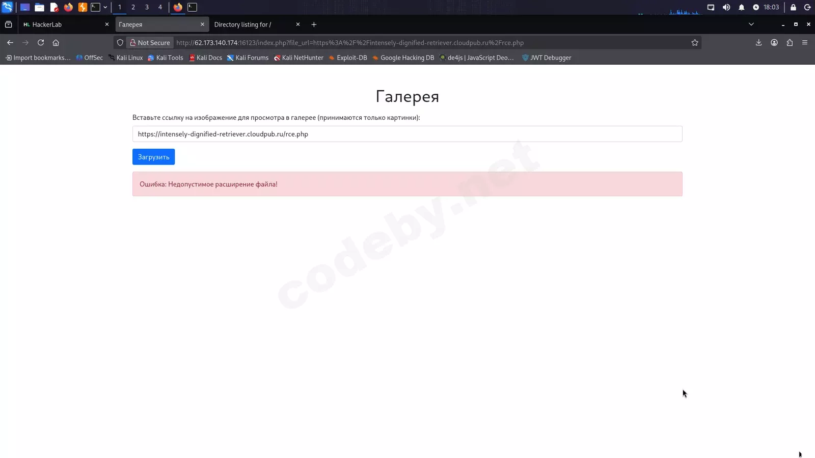 1781780616311.webp