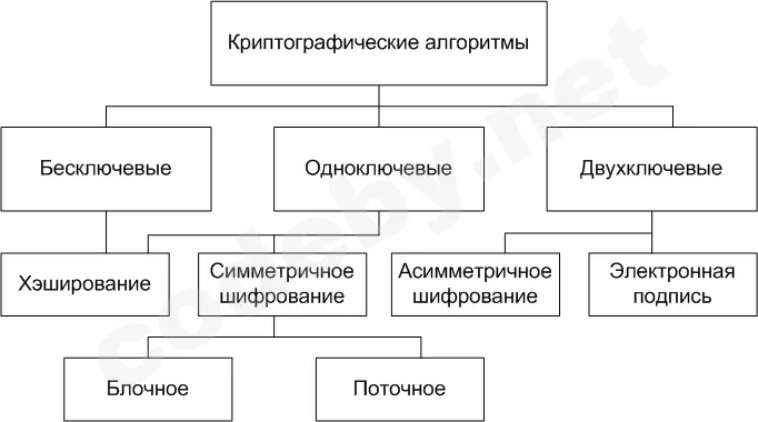 1782791914993.webp