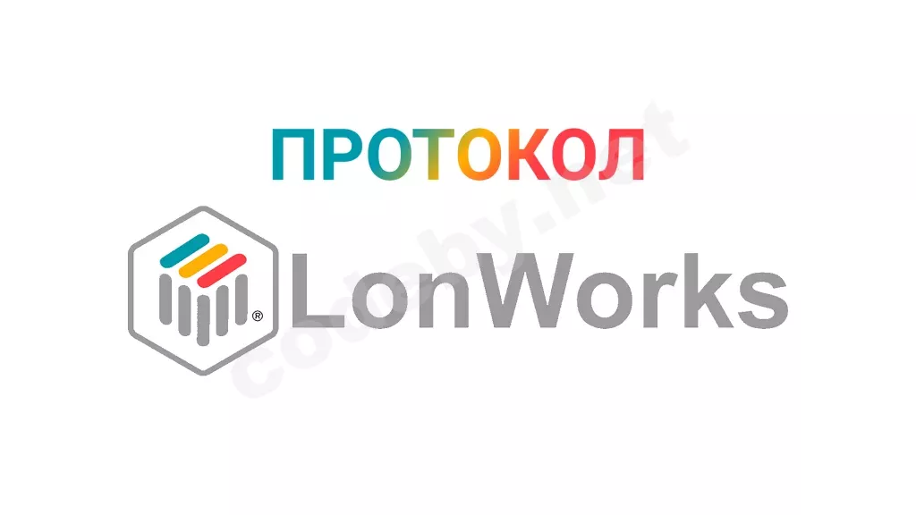 1783455002775.webp
