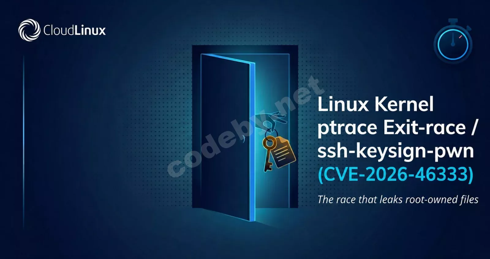 1783690743404.webp