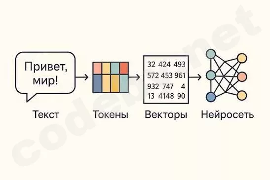 1783890562068.webp