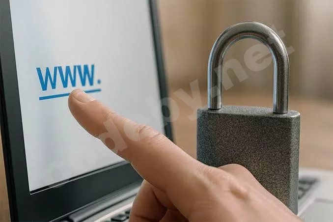 1784488219626.webp