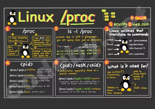 1784710485063.webp