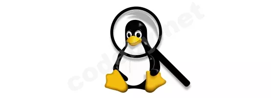 1784710560106.webp