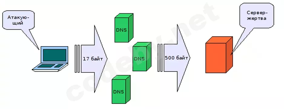 1784817991075.webp