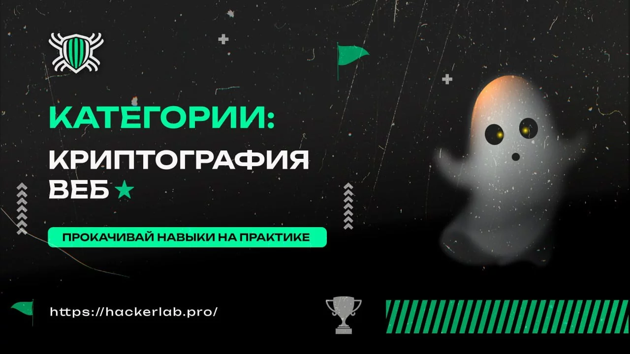1784971486241.webp