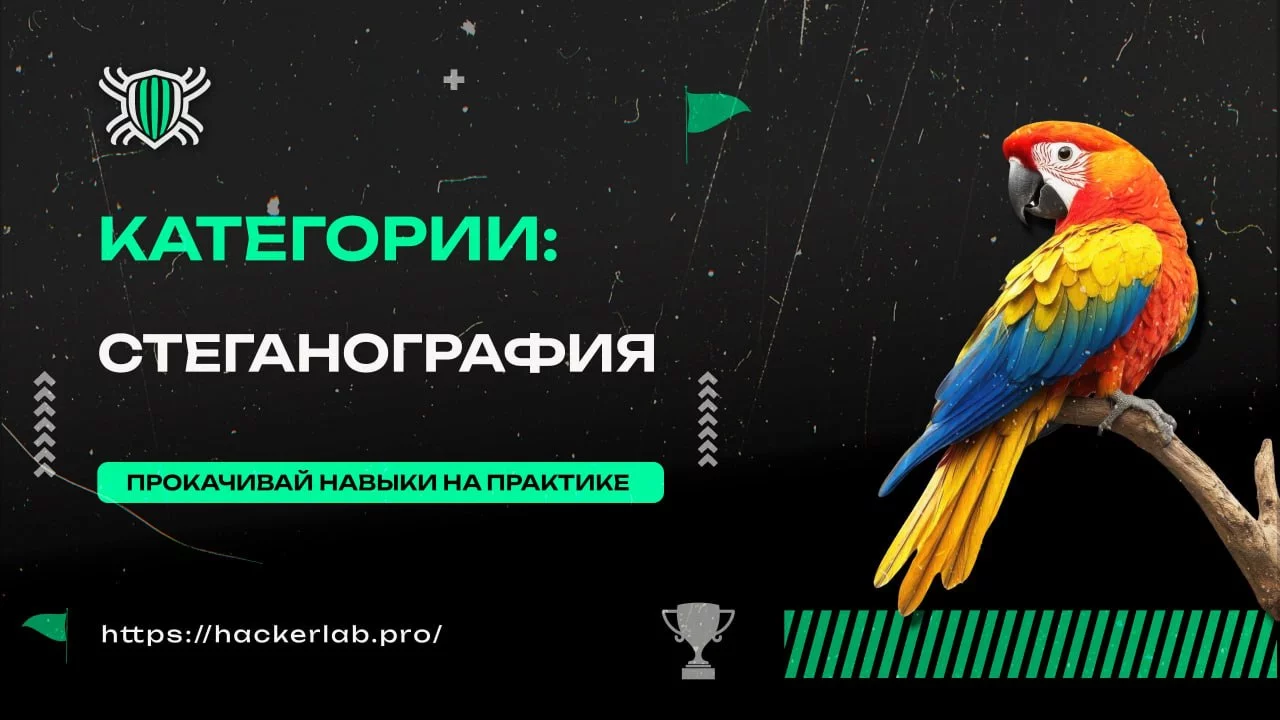 1786785892517.webp