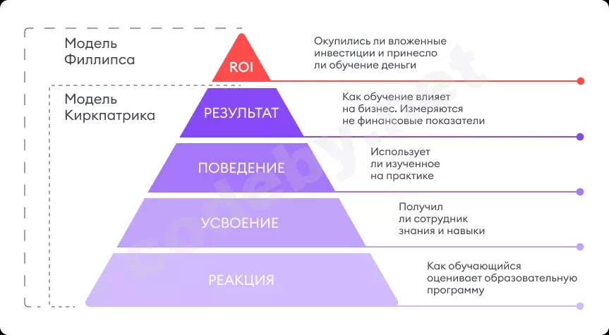 1787466144272.webp