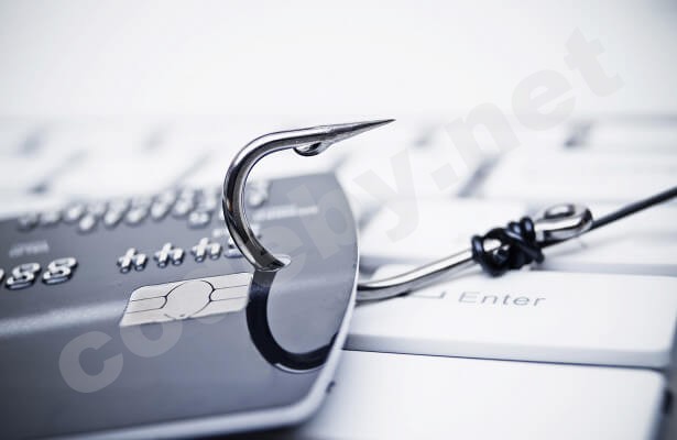 24072838.845694.587 (1).jpeg