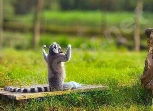 принцип дела.jpg