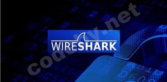 _ _ WIRESHARK _ TERMUX.jpg