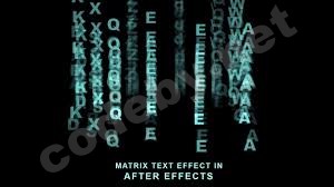 Без названия.jpg