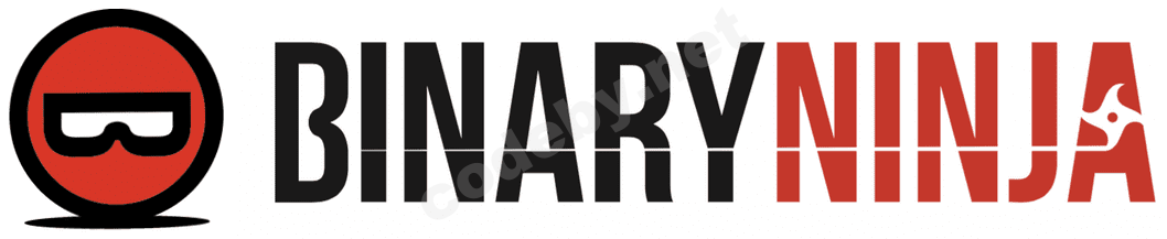 bin_ninja.png