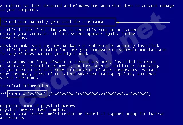 BlueScreen.webp