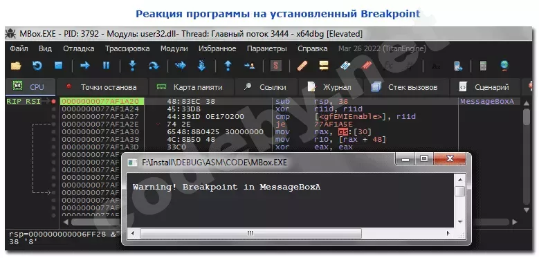 Break_1.webp