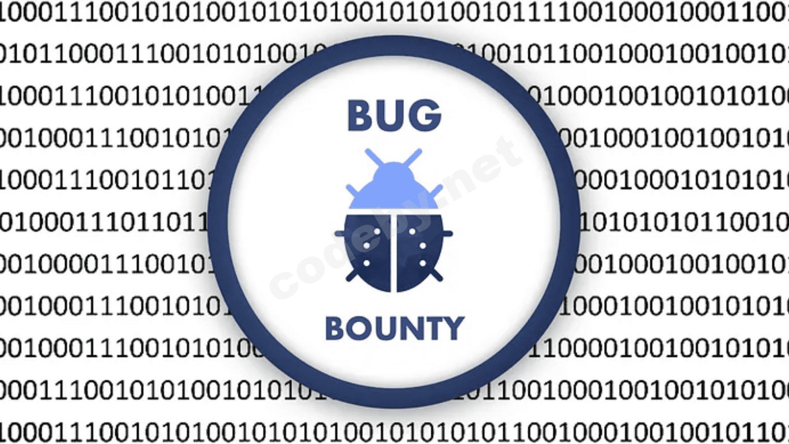bug bounty.png