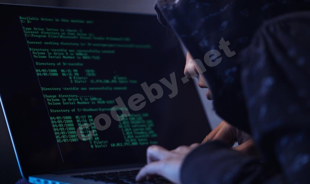 computer-hacker-hooded-shirt-typing-software-algorithms-stealing-data-from-computer-network-la...jpg