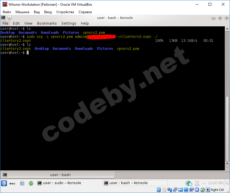 copy vpt to whonix.PNG