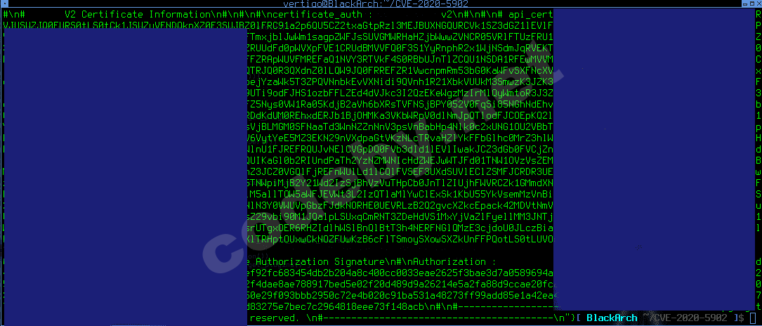 cve-2020-5902f53.png