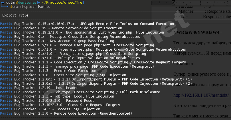 exploit_search_mantis.png