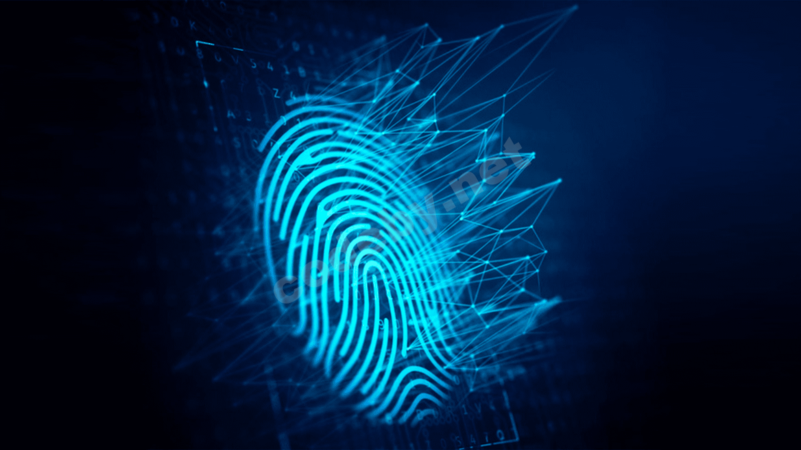 fingerprint.png