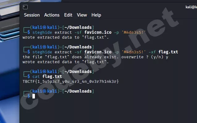madness success.webp