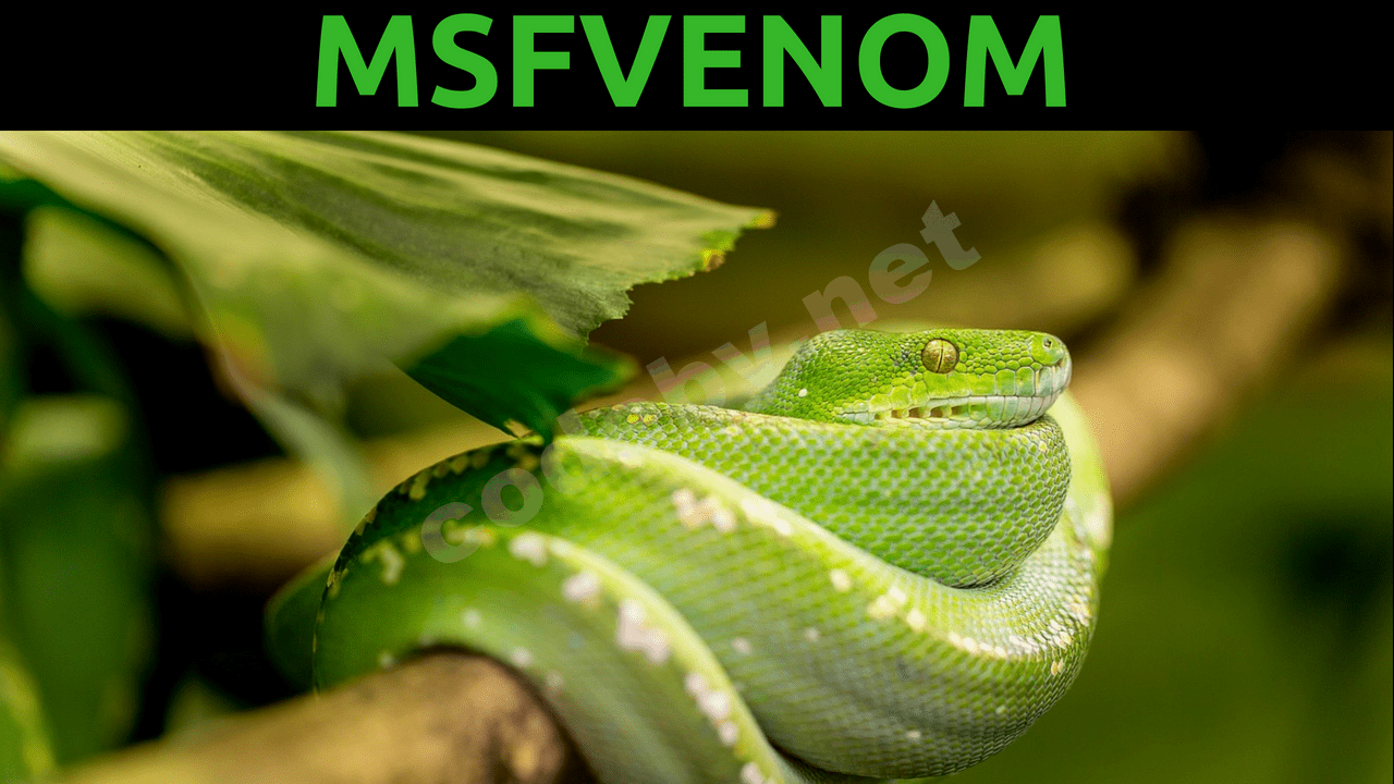 msfvenom.png