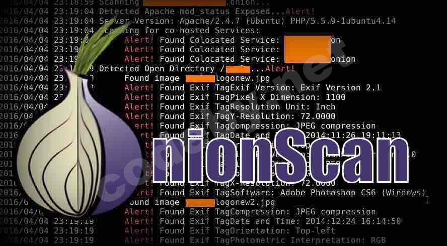 onionscan-tor-1.jpg