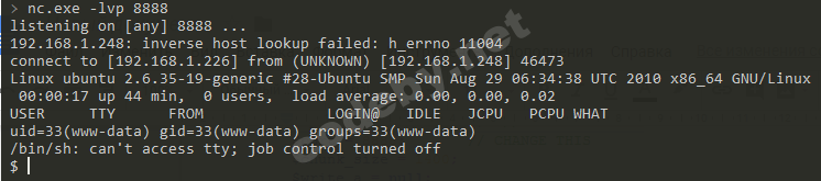 pasted image 0 (18).png