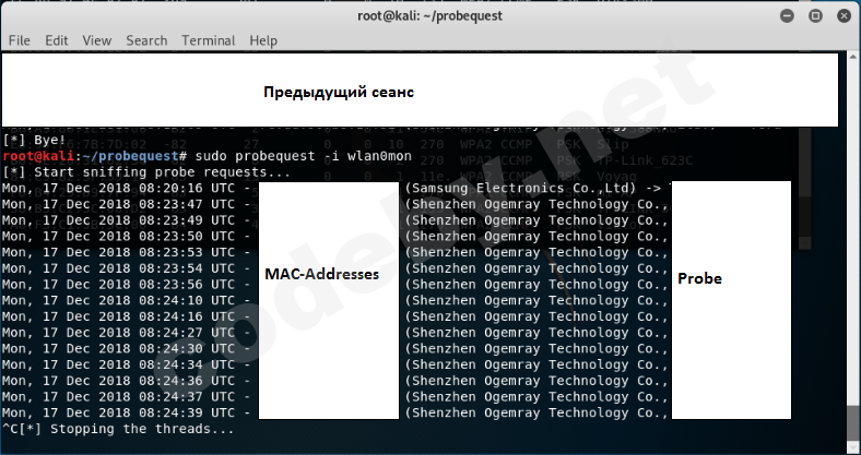 pasted image 0 (29).png