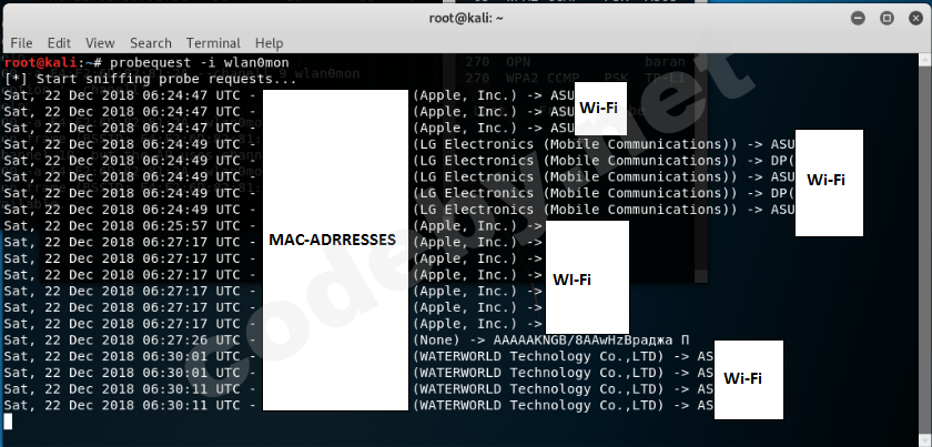 pasted image 0 (30).png