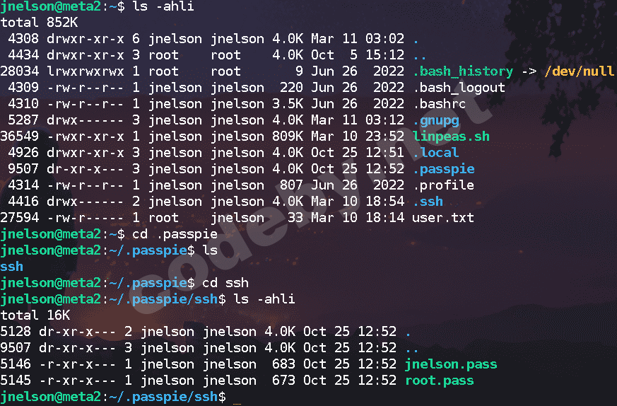 Pasted image 20230311062527.png