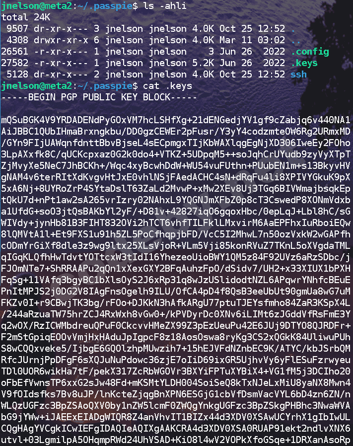 Pasted image 20230311062749.png